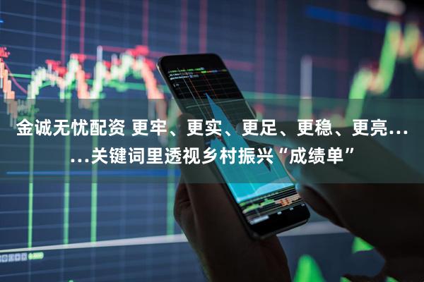 金诚无忧配资 更牢、更实、更足、更稳、更亮……关键词里透视乡村振兴“成绩单”