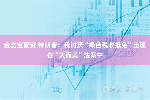 金富宝配资 特朗普：我讨厌“绿色税收抵免”出现在“大而美”法案中