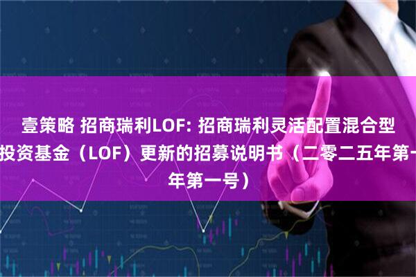 壹策略 招商瑞利LOF: 招商瑞利灵活配置混合型证券投资基金（LOF）更新的招募说明书（二零二五年第一号）
