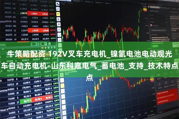 牛策略配资 192V叉车充电机_镍氢电池电动观光车自动充电机-山东科嘉电气_蓄电池_支持_技术特点