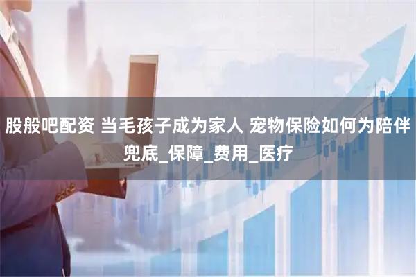 股般吧配资 当毛孩子成为家人 宠物保险如何为陪伴兜底_保障_费用_医疗