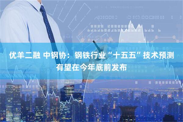 优羊二融 中钢协：钢铁行业“十五五”技术预测有望在今年底前发布